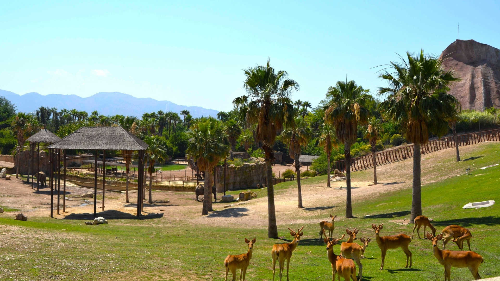 Terra Natura