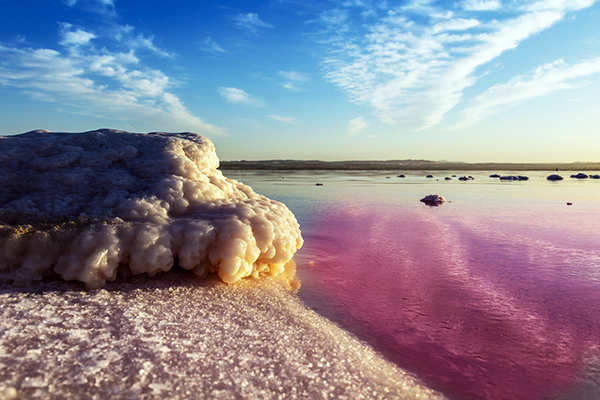Pink Salt Lake Tour