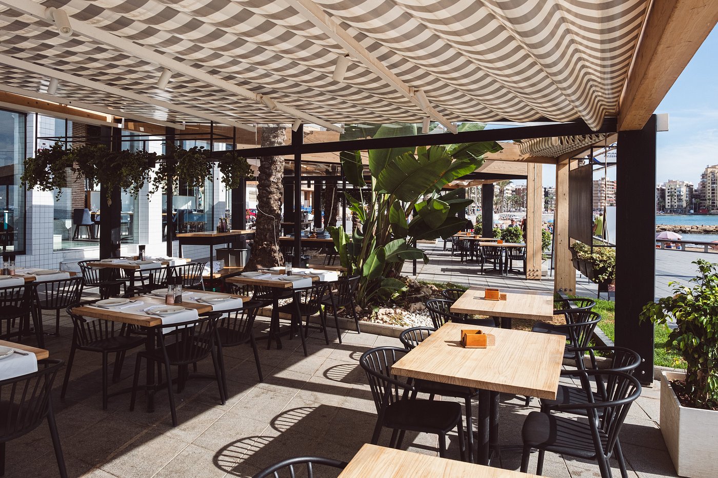 Торревьеха